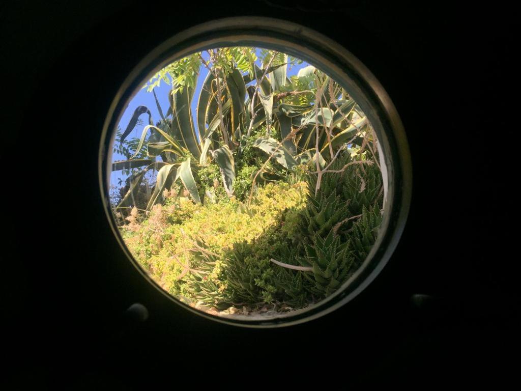 Rifugio Del Marinaio - Sul Mare Villa Polignano a Mare Exteriör bild